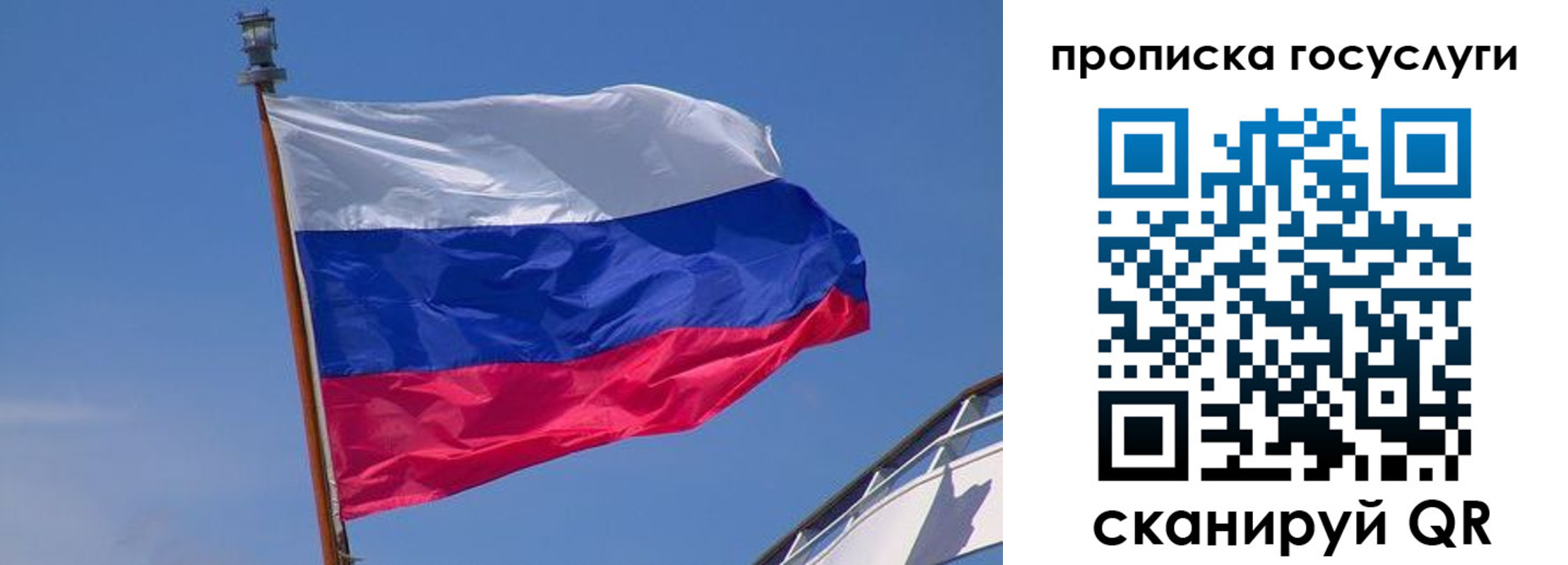 регистрация в Димитровграде